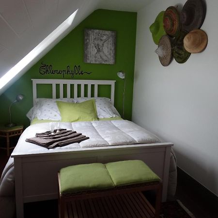 Chambres D'Hotes De La Voie Romaine Plouigneau Zewnętrze zdjęcie